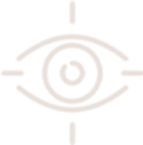 Ícone visão